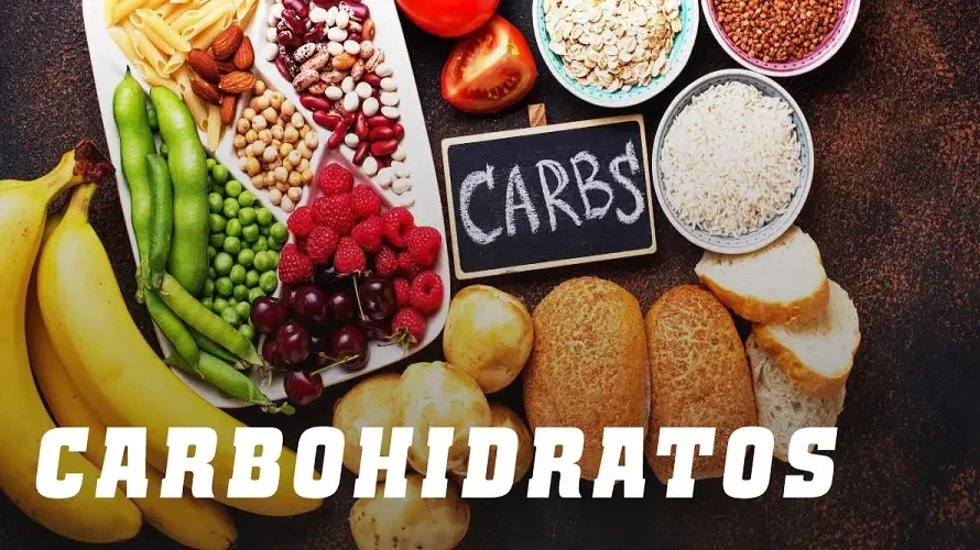 Guía esencial para la dieta baja en carbohidratos